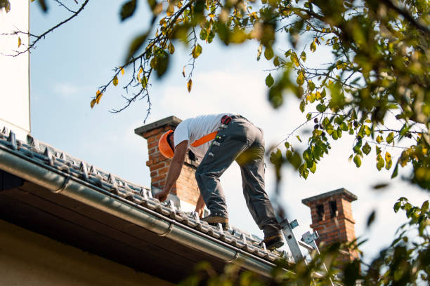 Best Roof Waterproofing Services  in Linden, TX